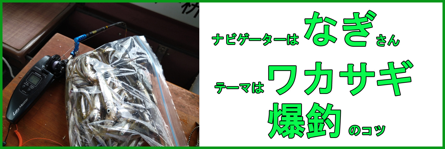 なぎさん 1日に2千匹越え 敏腕ワカサギ釣り師が教えるコツ3選 釣りとバイクが趣味なんだ