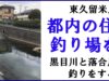【東久留米民】 黒目川と落合川、釣りをするならどっち!?【必見!?】