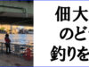 【広くて静か】佃大橋はのどかな釣りに最適なスポットだった！