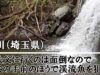 【釣り場紹介】奥秩父に行くのは面倒なので秩父の手前のほうで渓流魚を狙う【生川（埼玉県）】