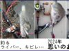 【連載第12回】2024年思いのある釣り総集編【トップウォーター】