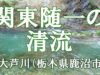 【首都圏日帰り】関東随一の清流・大芦川（栃木県）でオレンジ色の斑紋の美しいイワナを釣る！【渓流釣り場ガイド】