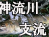 【連載第3回】雨の神流川 そして支流 黒川 【決断】×【行動】＝最良の結果【渓流釣り】