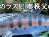 【連載第7回】奥秩父の大洞川でシーズンのラストを締めくくる【渓流釣り】