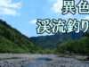 【渓流釣り】異色の釣り場！　開放感がある小百川＆板穴川（日光市）で尺イワナを釣る（同行者が）！【釣り場ガイド】