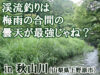 【渓流】首都圏、最近（さいちか）クラスの秋山川（山梨県）で大物を釣る【釣り場ガイド】