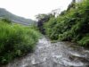 【渓流フィールドレビュー第9弾】「高尾山でヤマメは釣れるのか？」を検証してみました【小仏川（東京都）】